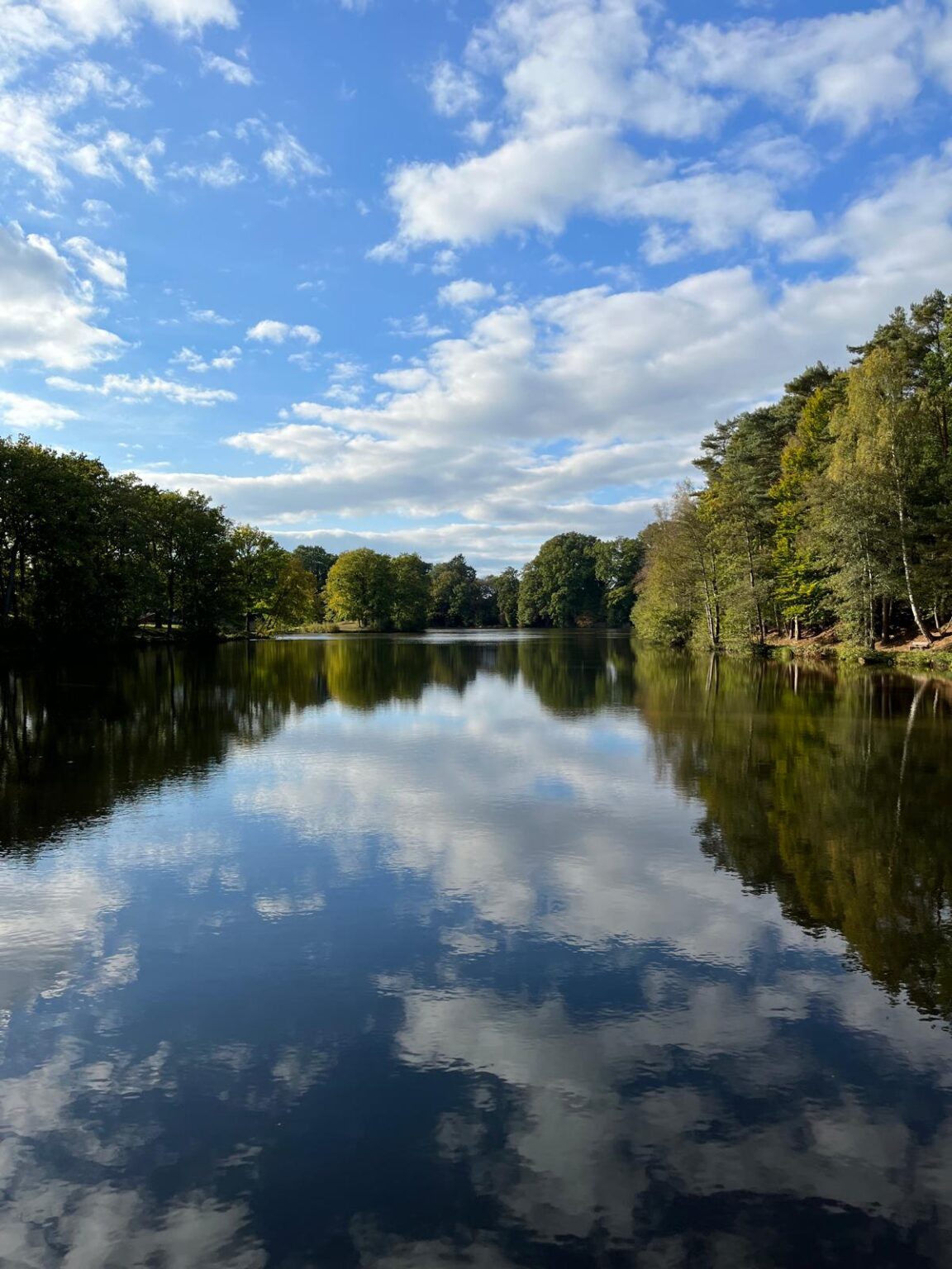 ba709c5e-82a5-4ca5-b476-df12a2f896f4